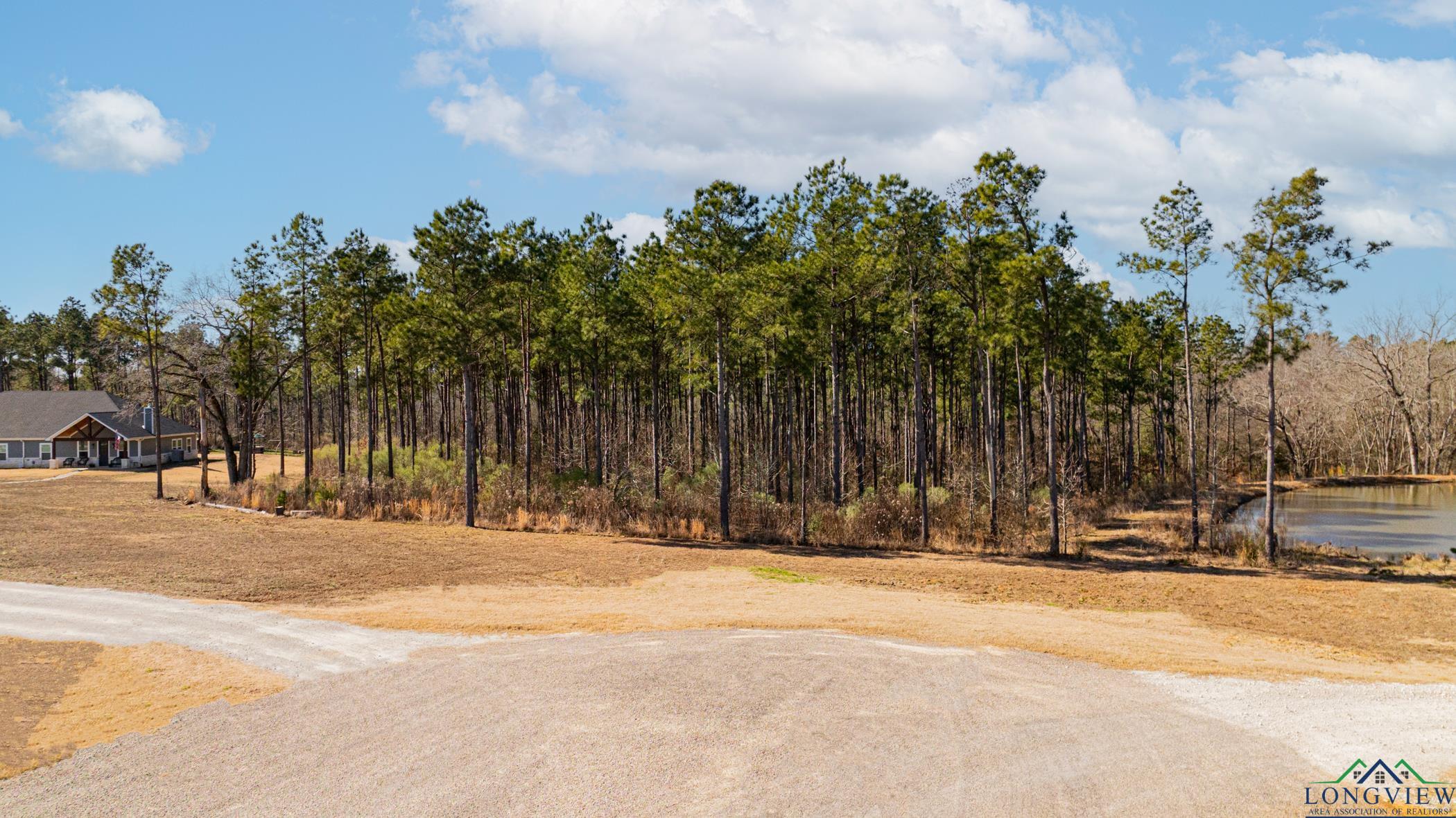 000 Eagle Court Rd, New Diana, Texas image 4