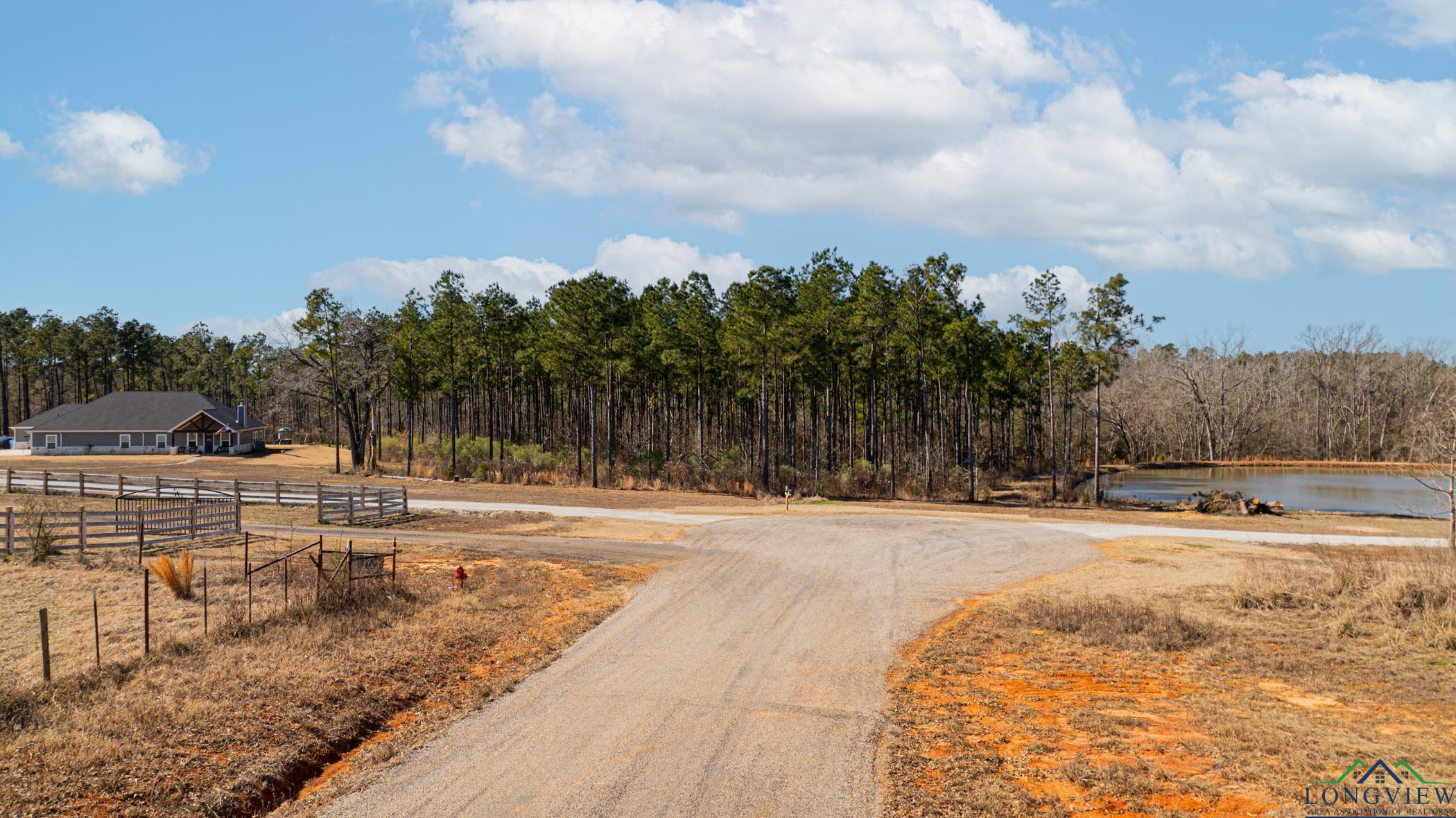 000 Eagle Court Rd, New Diana, Texas image 6