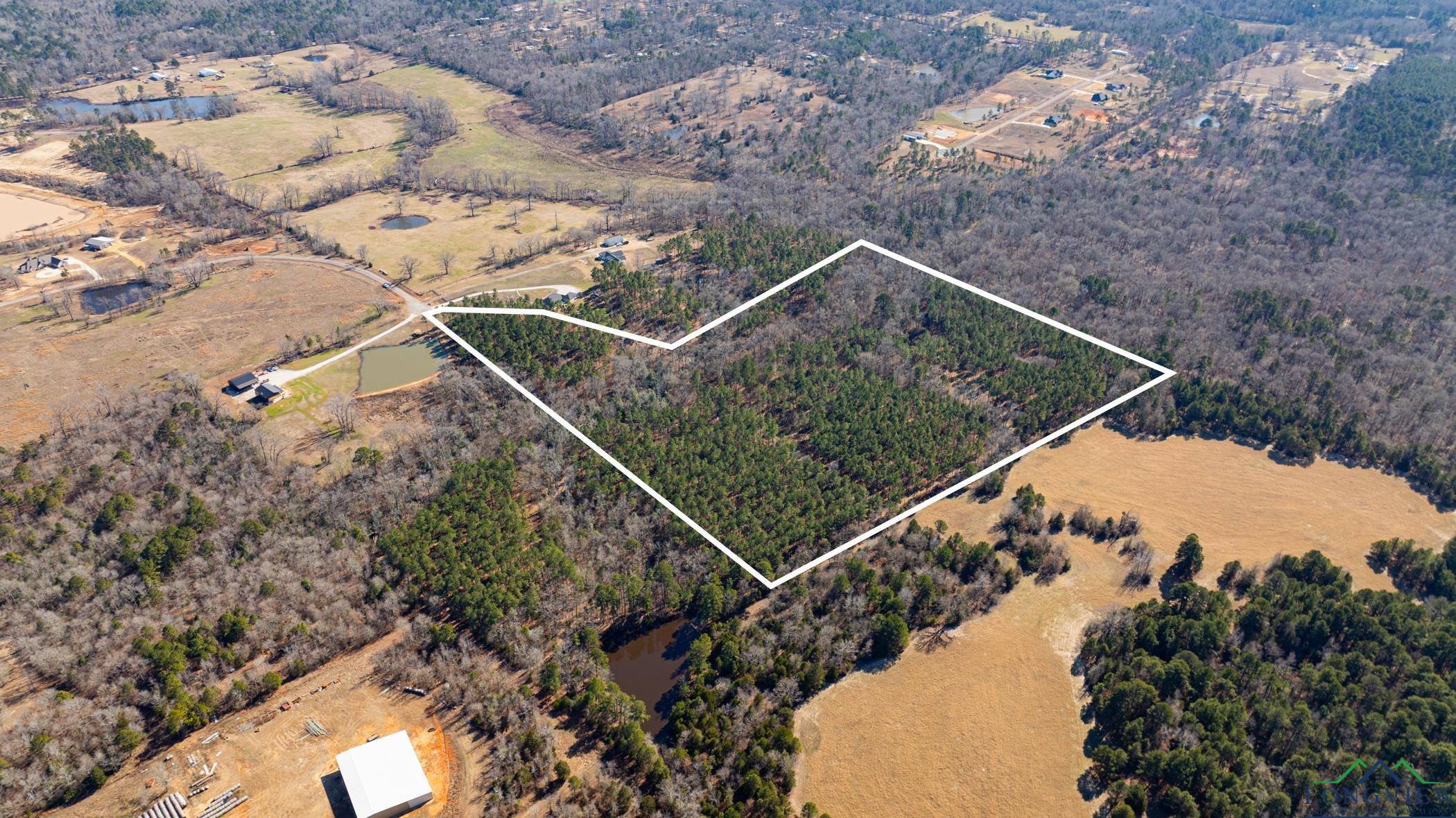 000 Eagle Court Rd, New Diana, Texas image 17