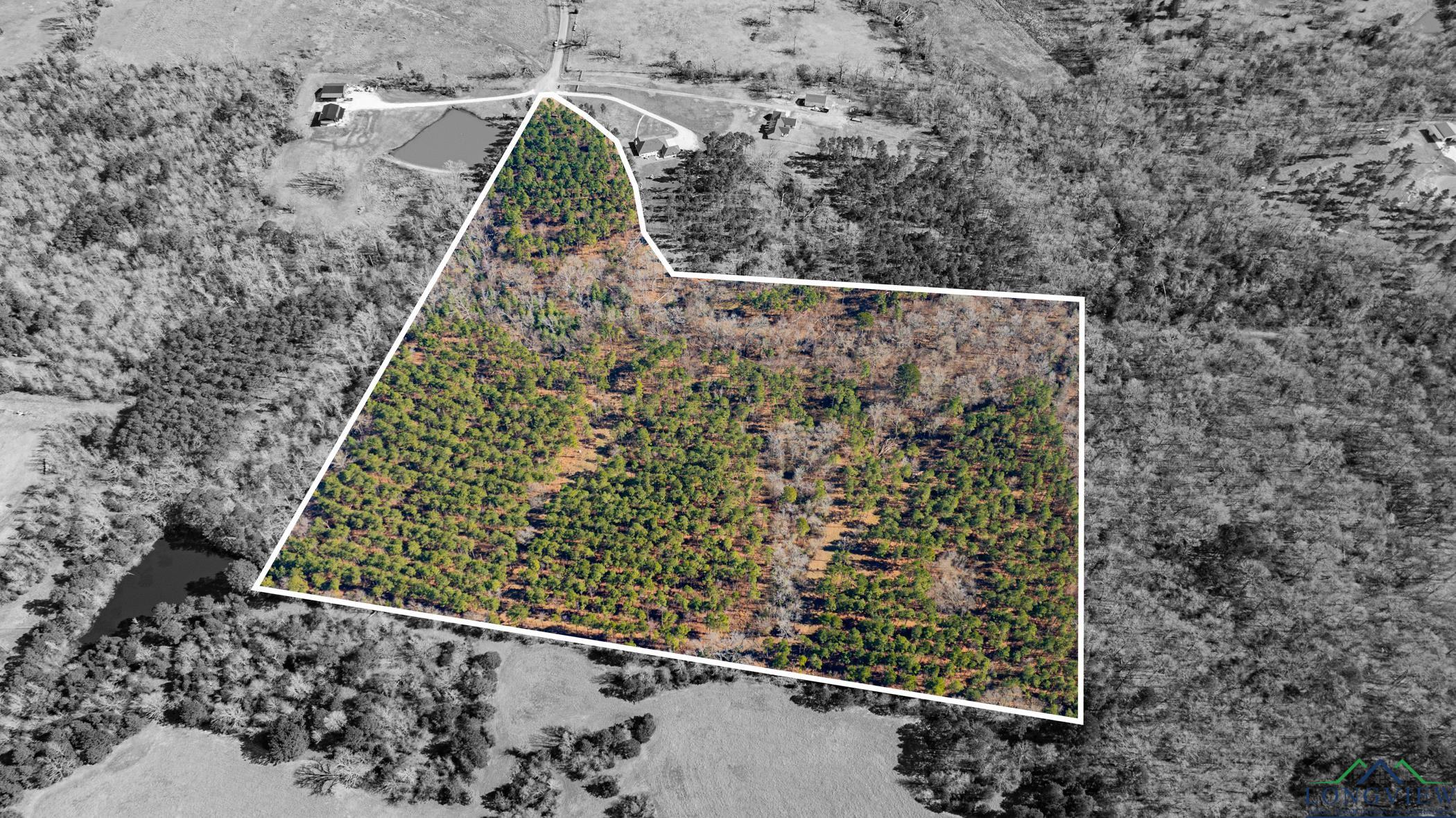 000 Eagle Court Rd, New Diana, Texas image 15