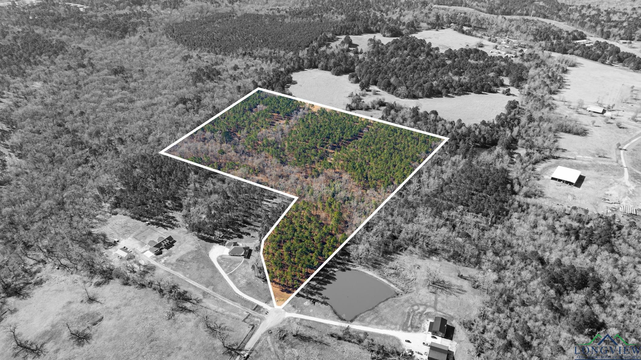 000 Eagle Court Rd, New Diana, Texas image 21