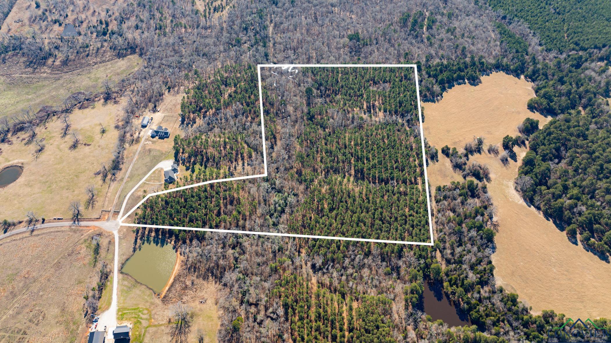 000 Eagle Court Rd, New Diana, Texas image 19