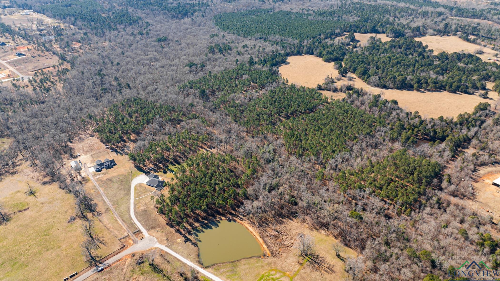 000 Eagle Court Rd, New Diana, Texas image 20