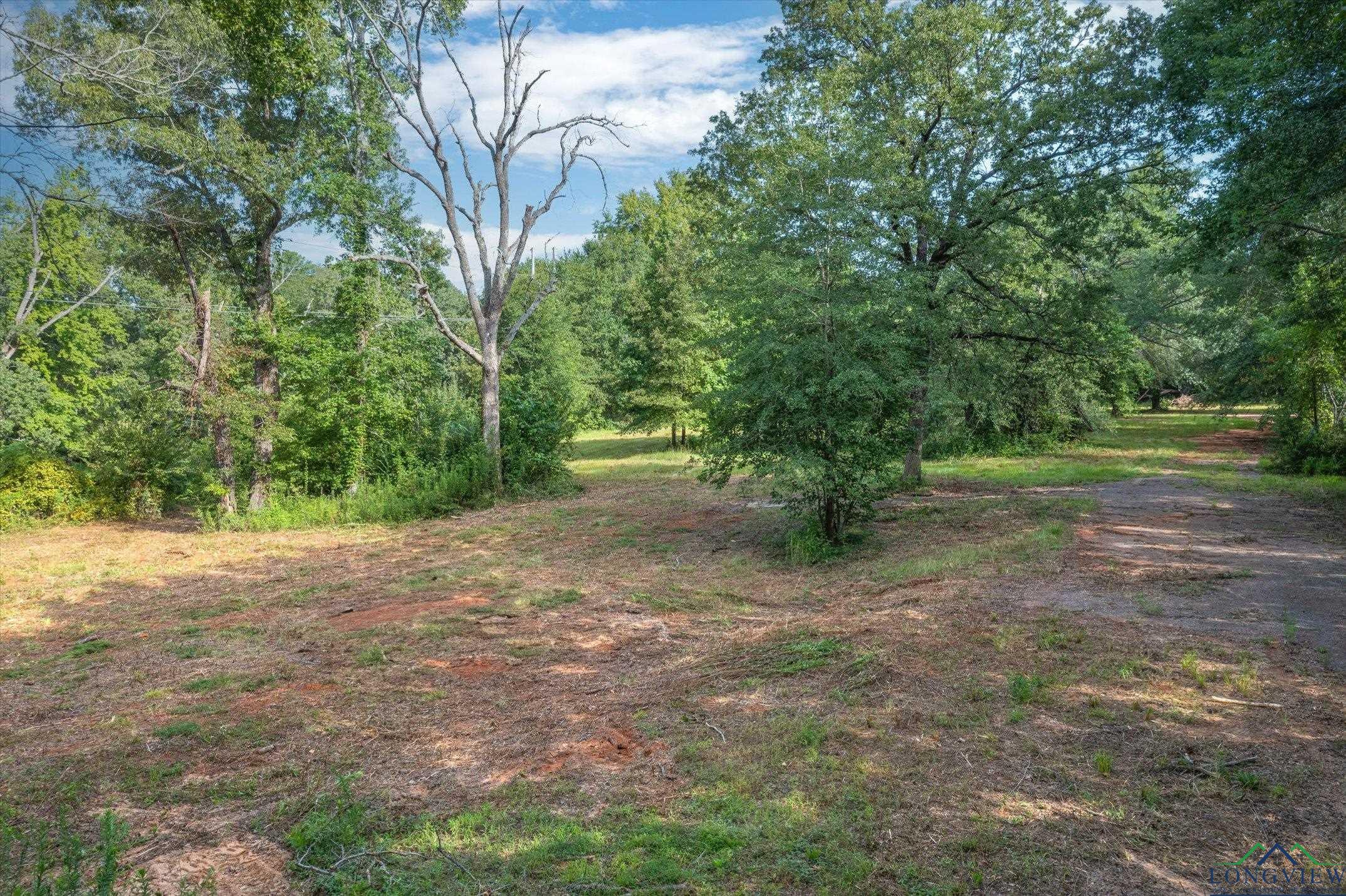 Willingham Rd Lot 2, Whitehouse, Texas image 13