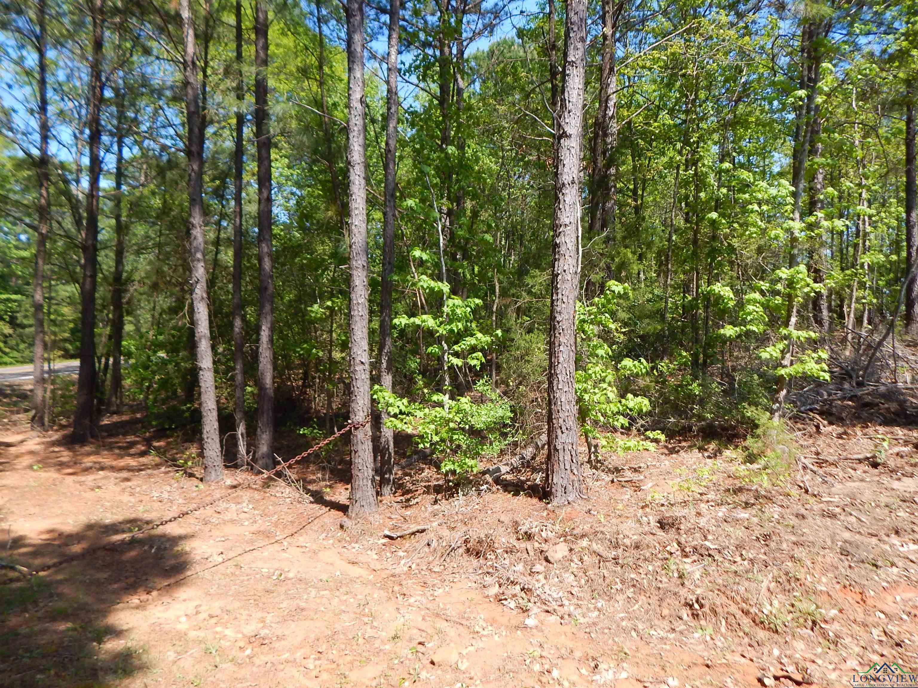 TBD 15 ACRES Fm 1795 Side 1, Big Sandy, Texas image 3