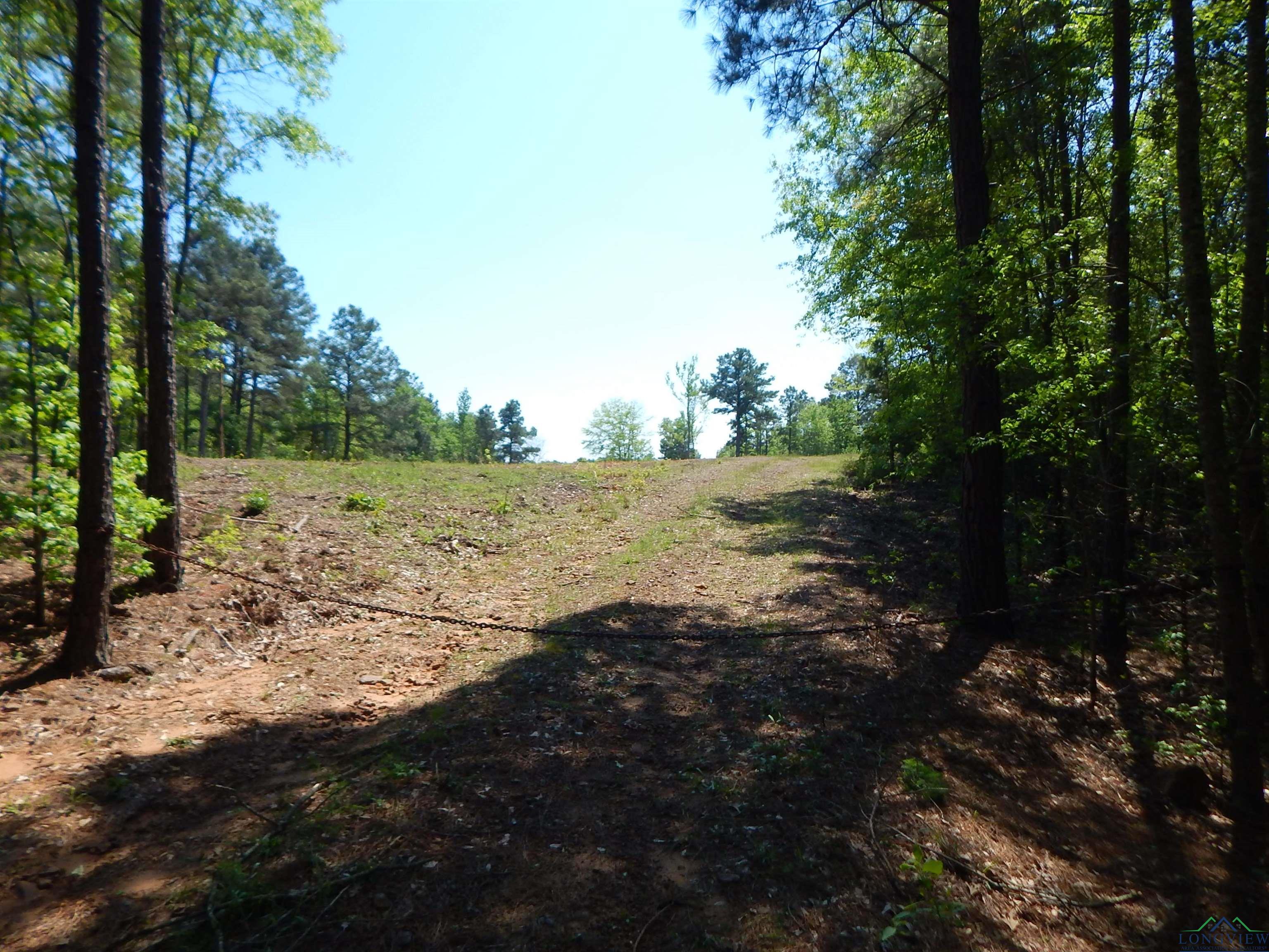 TBD 15 ACRES Fm 1795 Side 1, Big Sandy, Texas image 2