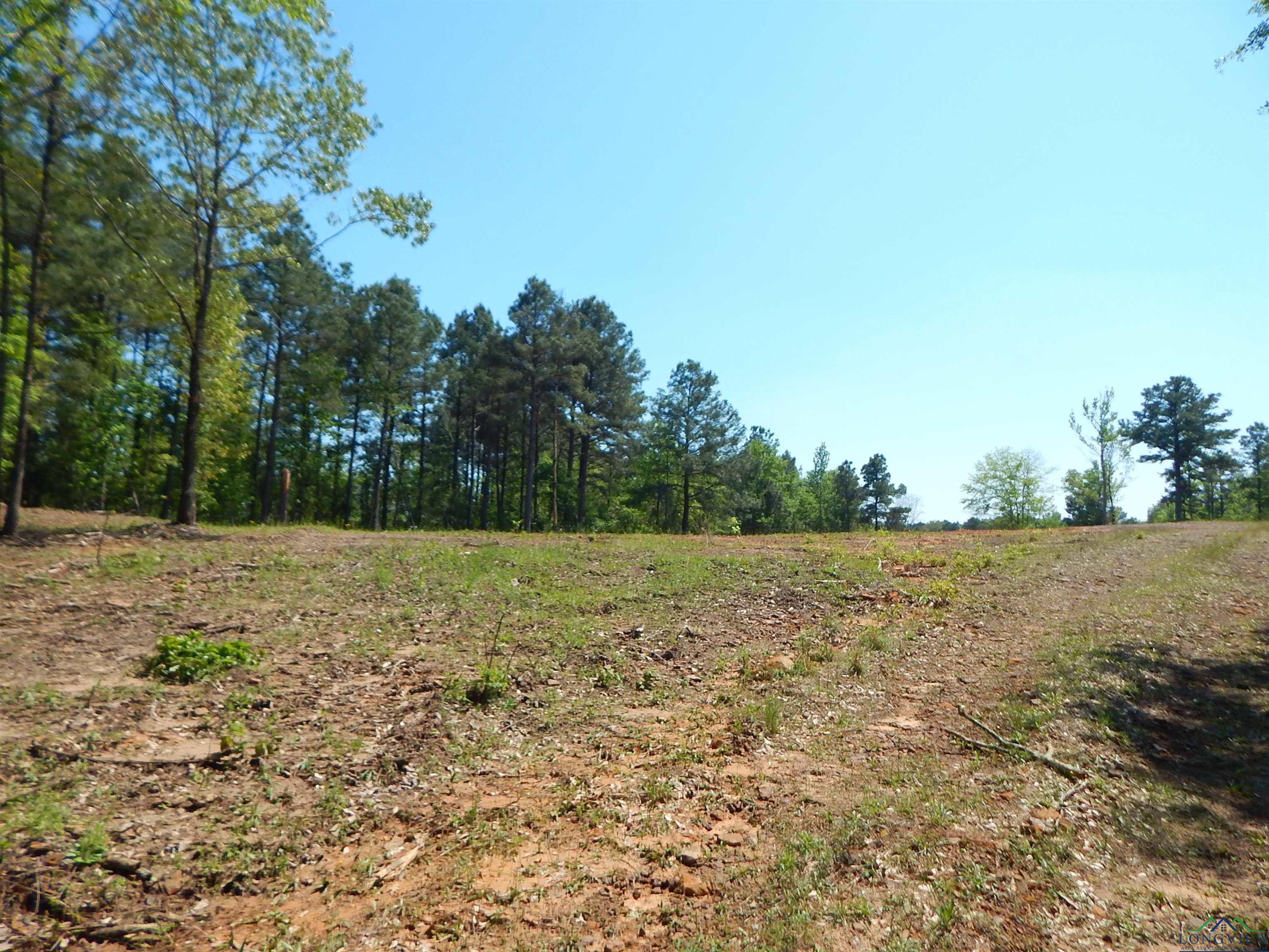 TBD 15 ACRES Fm 1795 Side 1, Big Sandy, Texas image 1
