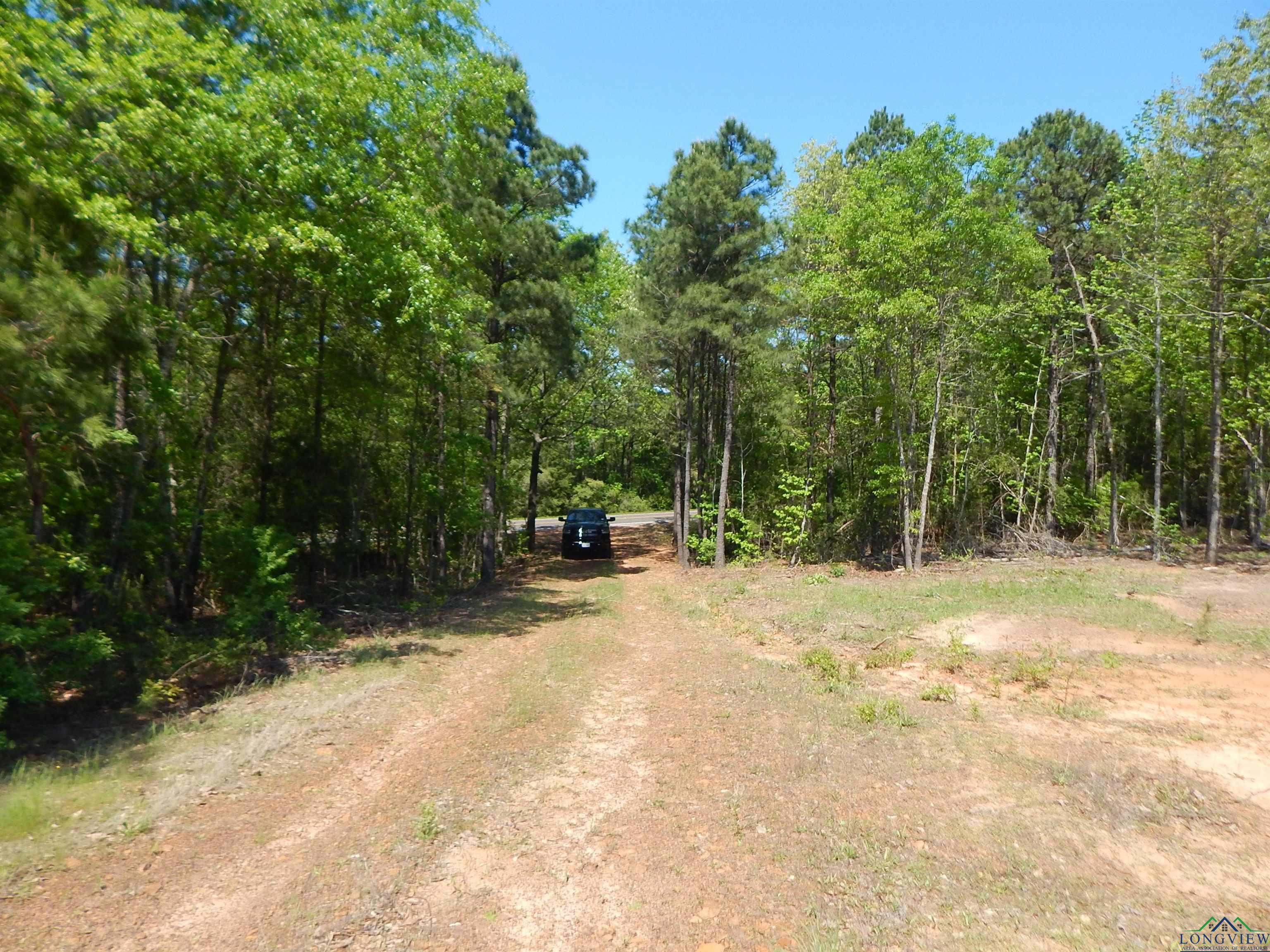 TBD 15 ACRES Fm 1795 Side 1, Big Sandy, Texas image 7