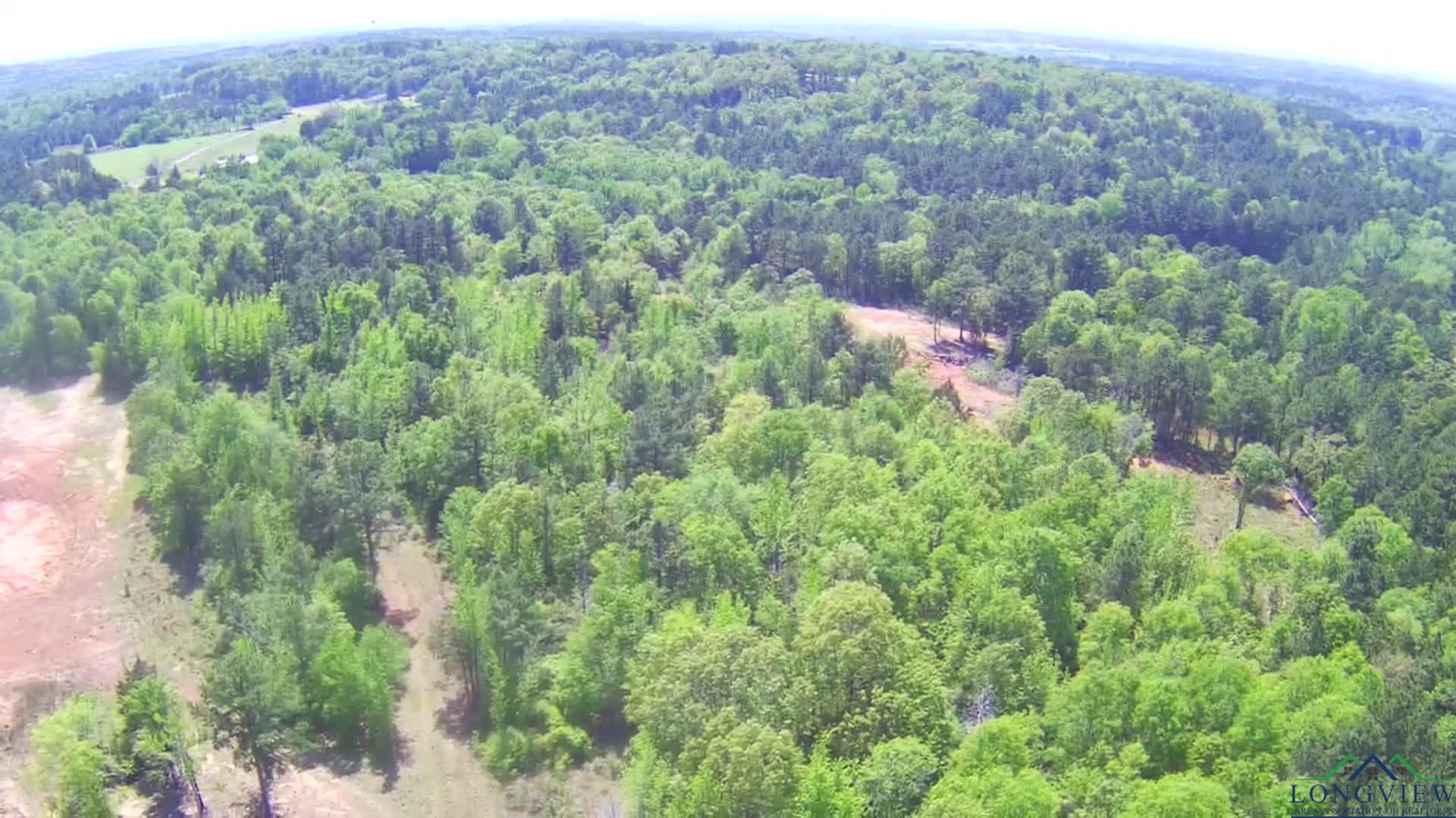 TBD 15 ACRES Fm 1795 Side 1, Big Sandy, Texas image 12