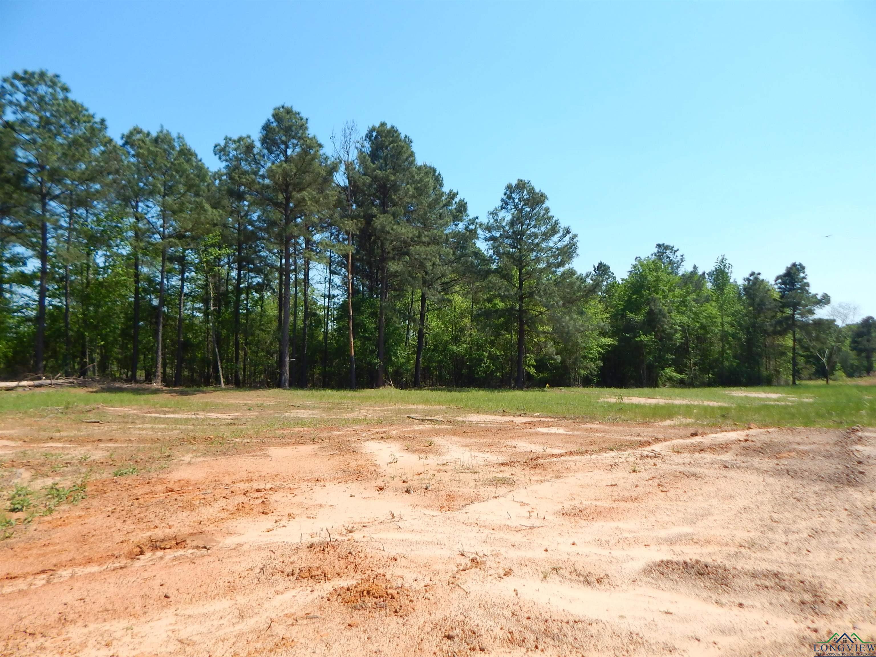 TBD 15 ACRES Fm 1795 Side 1, Big Sandy, Texas image 6