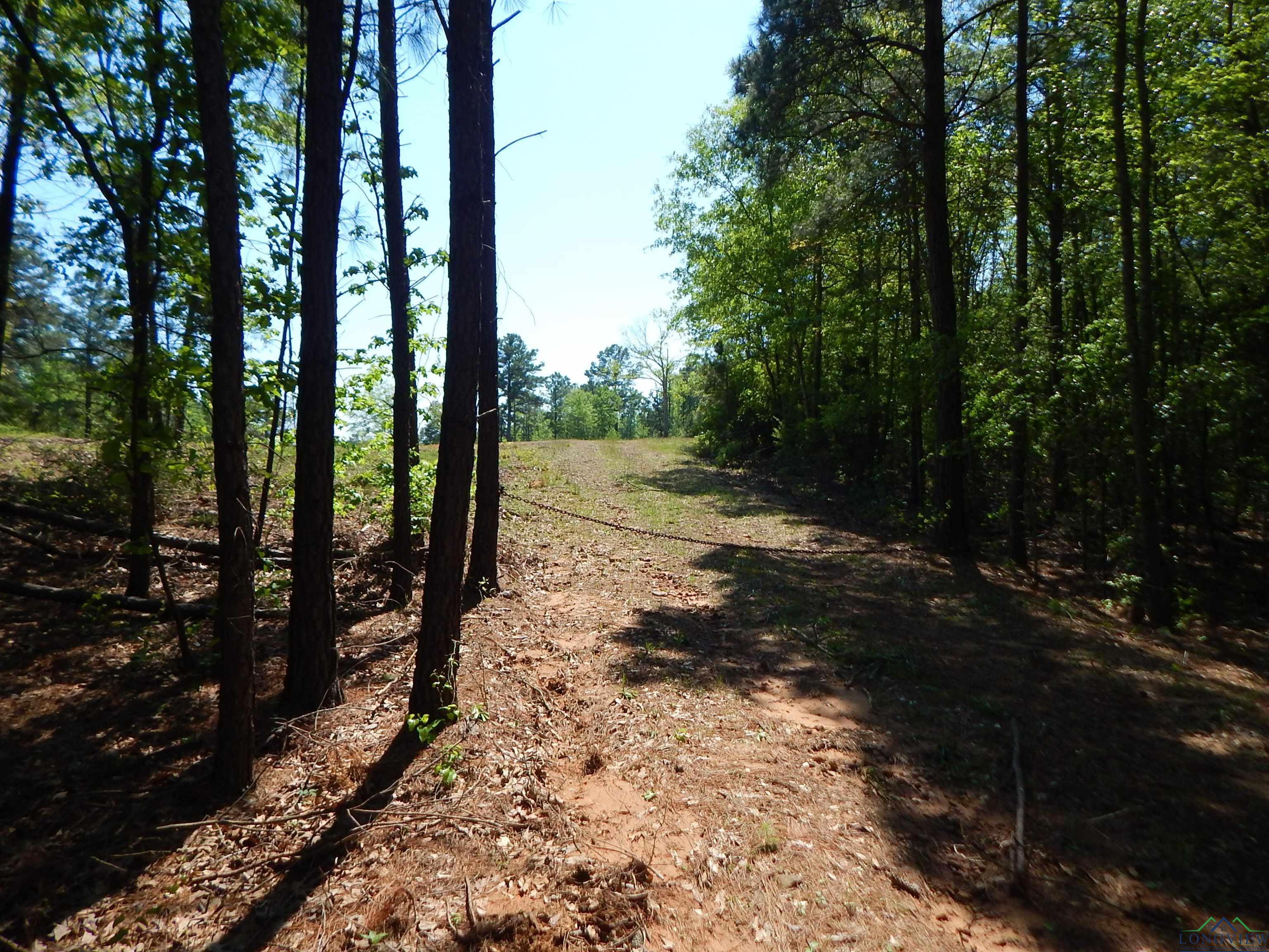 TBD 15 ACRES Fm 1795 Side 1, Big Sandy, Texas image 8