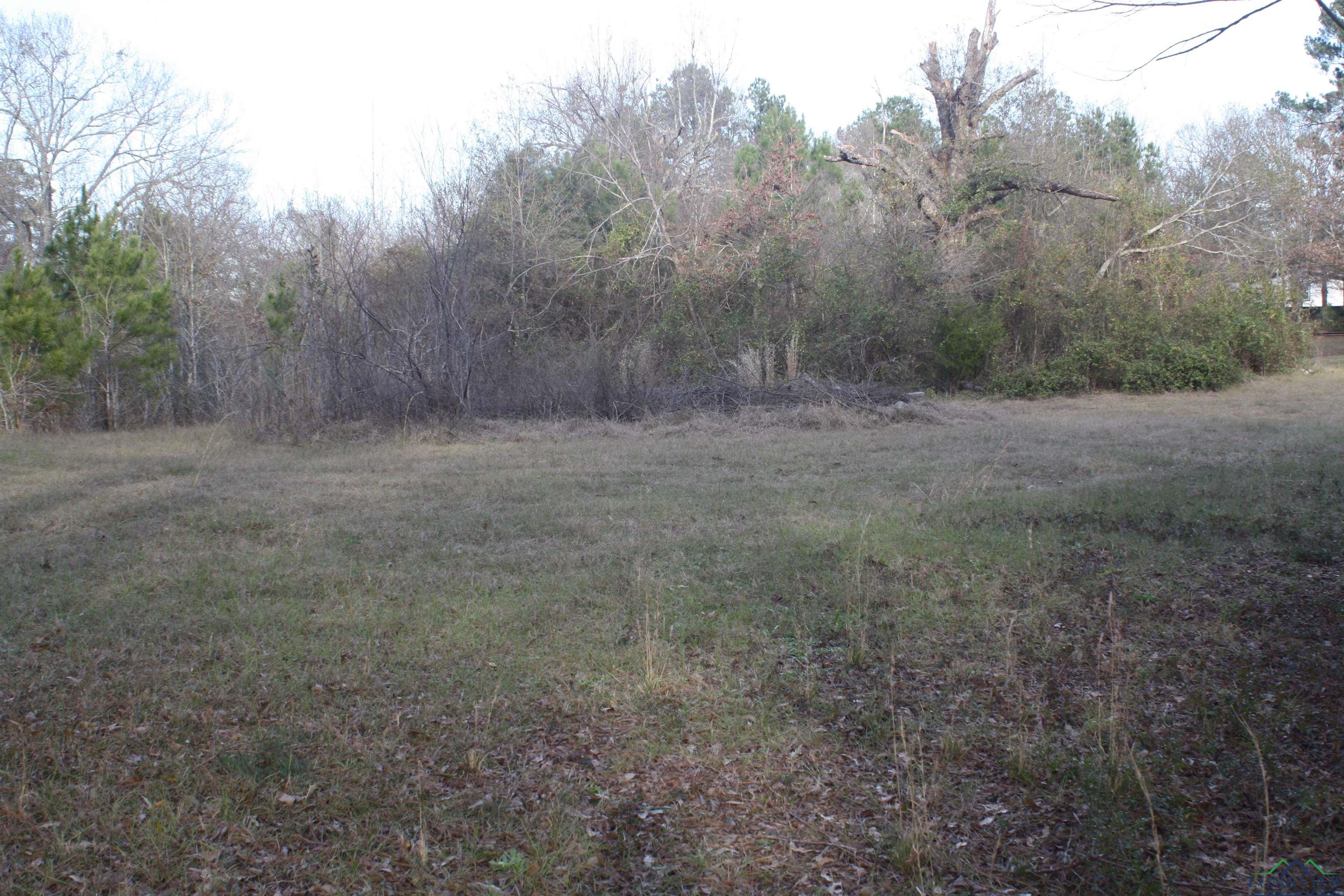 1525 N Samples Rd, Kilgore, Texas image 4