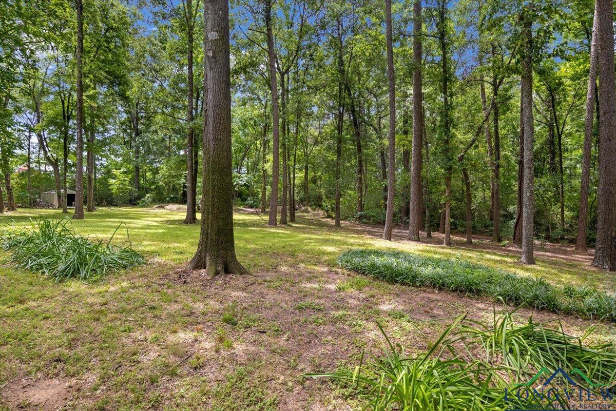 1709 W County Road 302 Avenue, Carthage, Texas image 42