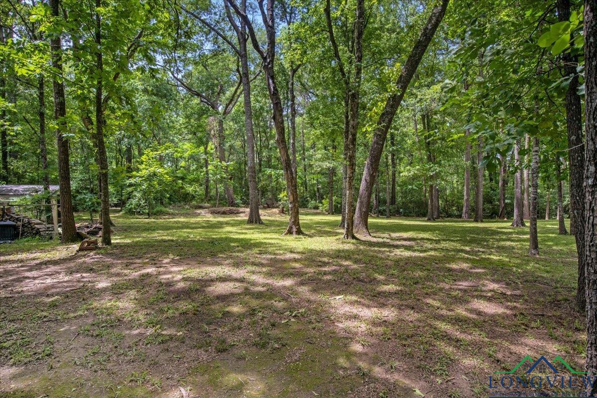 1709 W County Road 302 Avenue, Carthage, Texas image 41