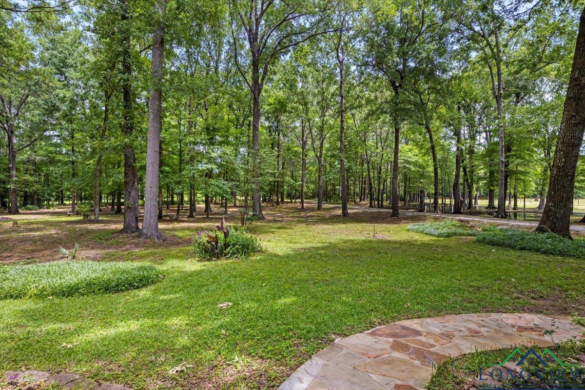 1709 W County Road 302 Avenue, Carthage, Texas image 38