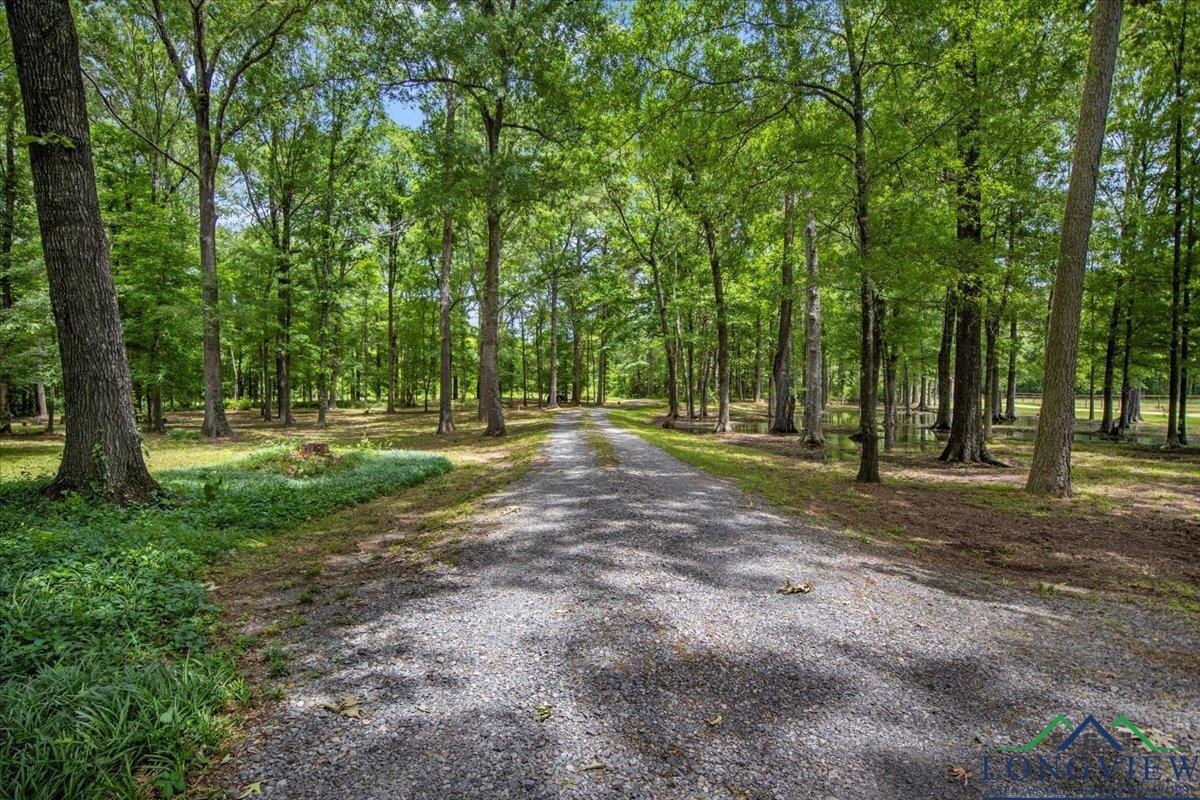 1709 W County Road 302 Avenue, Carthage, Texas image 39