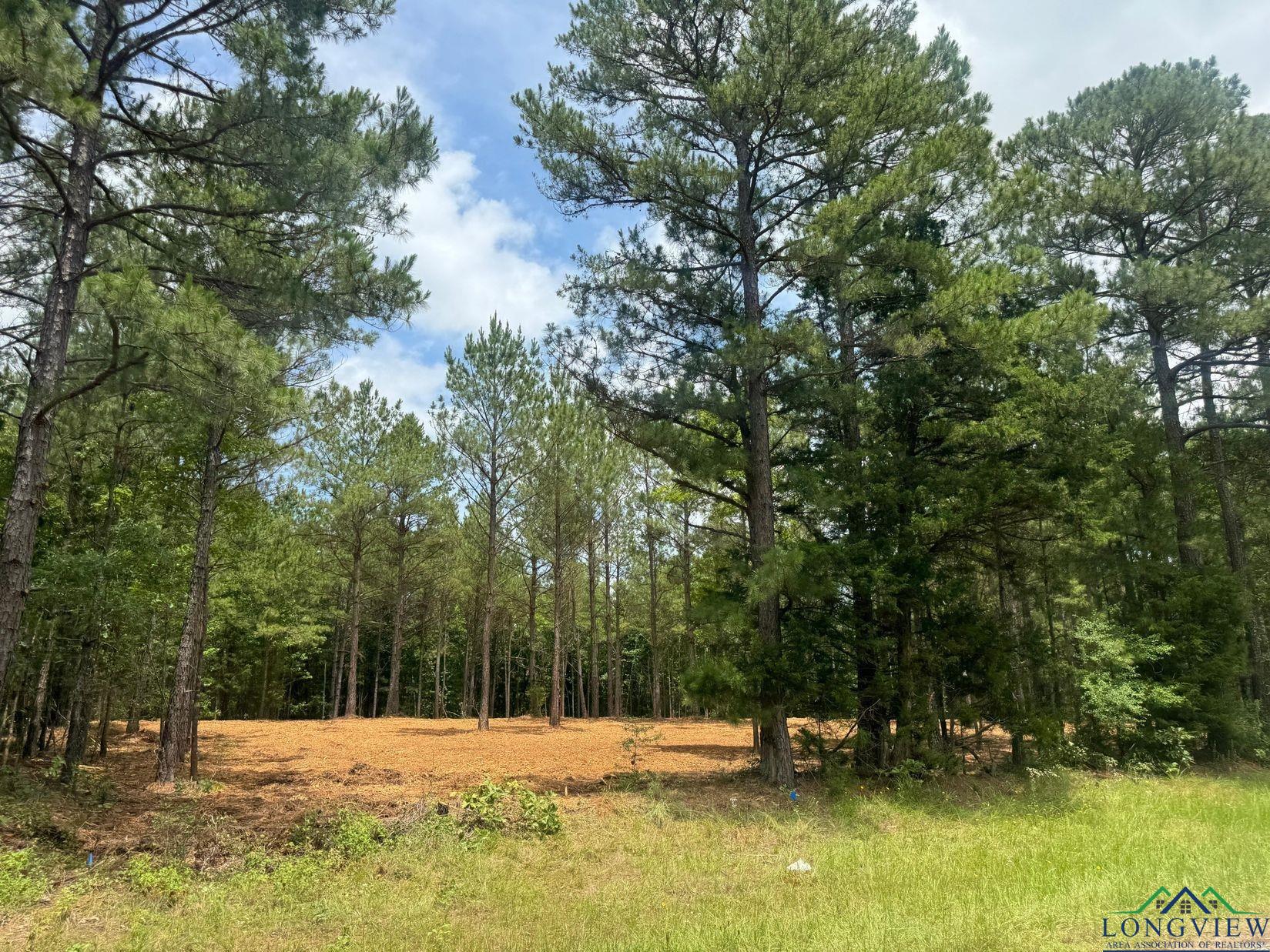 0003 Fm 805, Jefferson, Texas image 6
