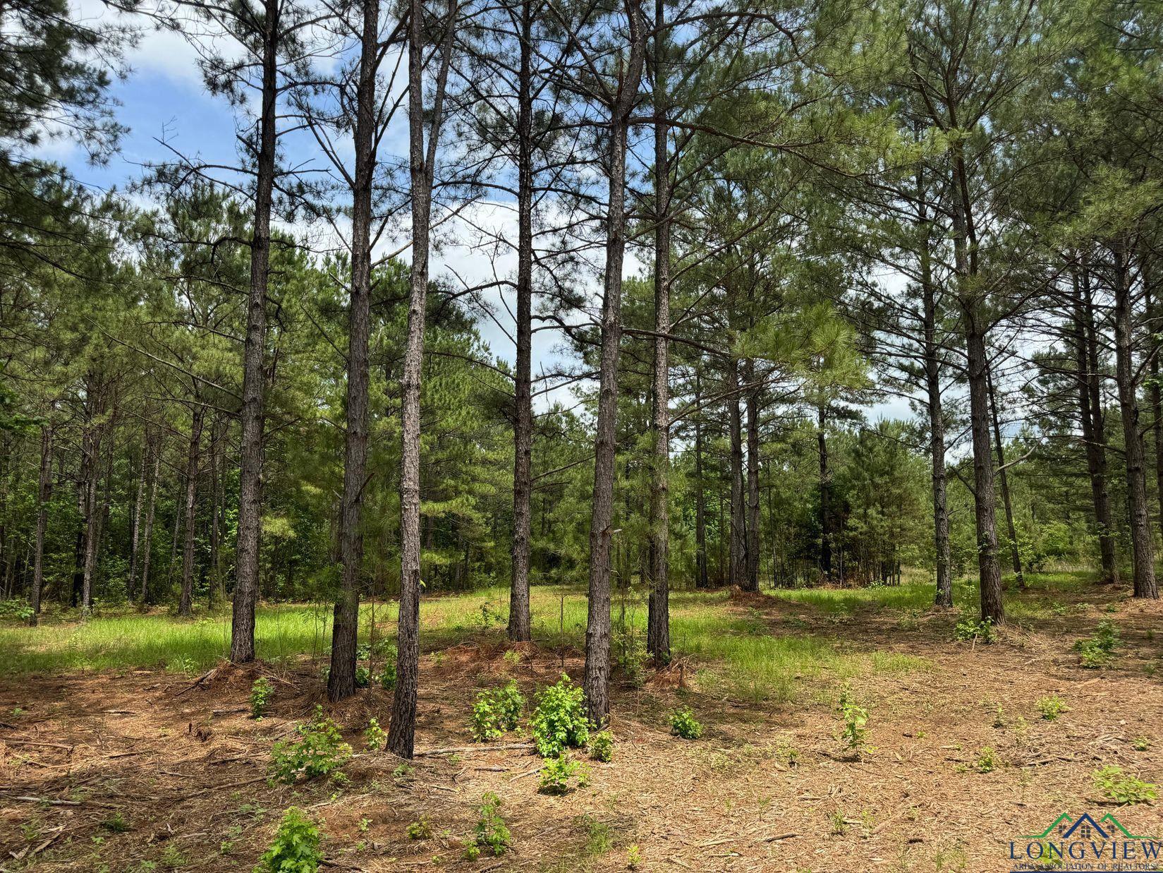 0003 Fm 805, Jefferson, Texas image 11