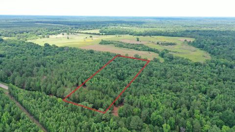 Vacant Land For Sale - 0003 Fm 805<br/> Marion County, Jefferson, TX 75657