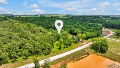 Vacant Land For Sale - 17260 Stella Maris St<br/> Winona, TX 75757