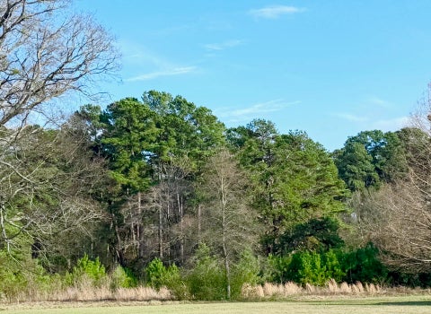Vacant Land For Sale - TBD Danville Road<br/> Kilgore, TX 75662