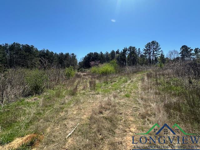 TBD Cr 148 D Drive, Overton, New Mexico image 7