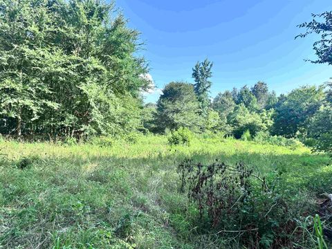 Vacant Land For Sale - TBD Cherokee Trace<br/> Upshur County, Gilmer, TX 75644