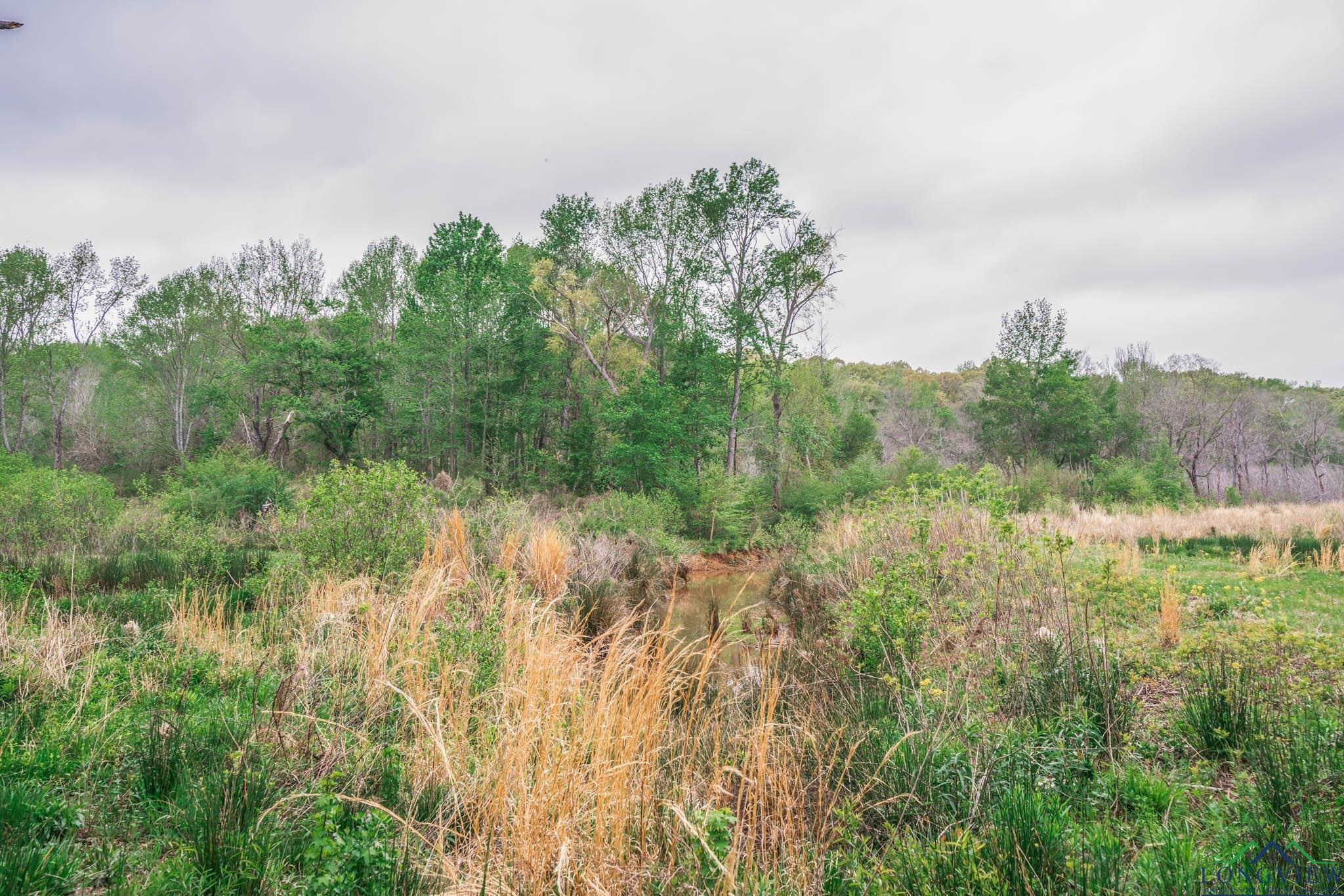 20301 Cr 450, Lindale, Texas image 18