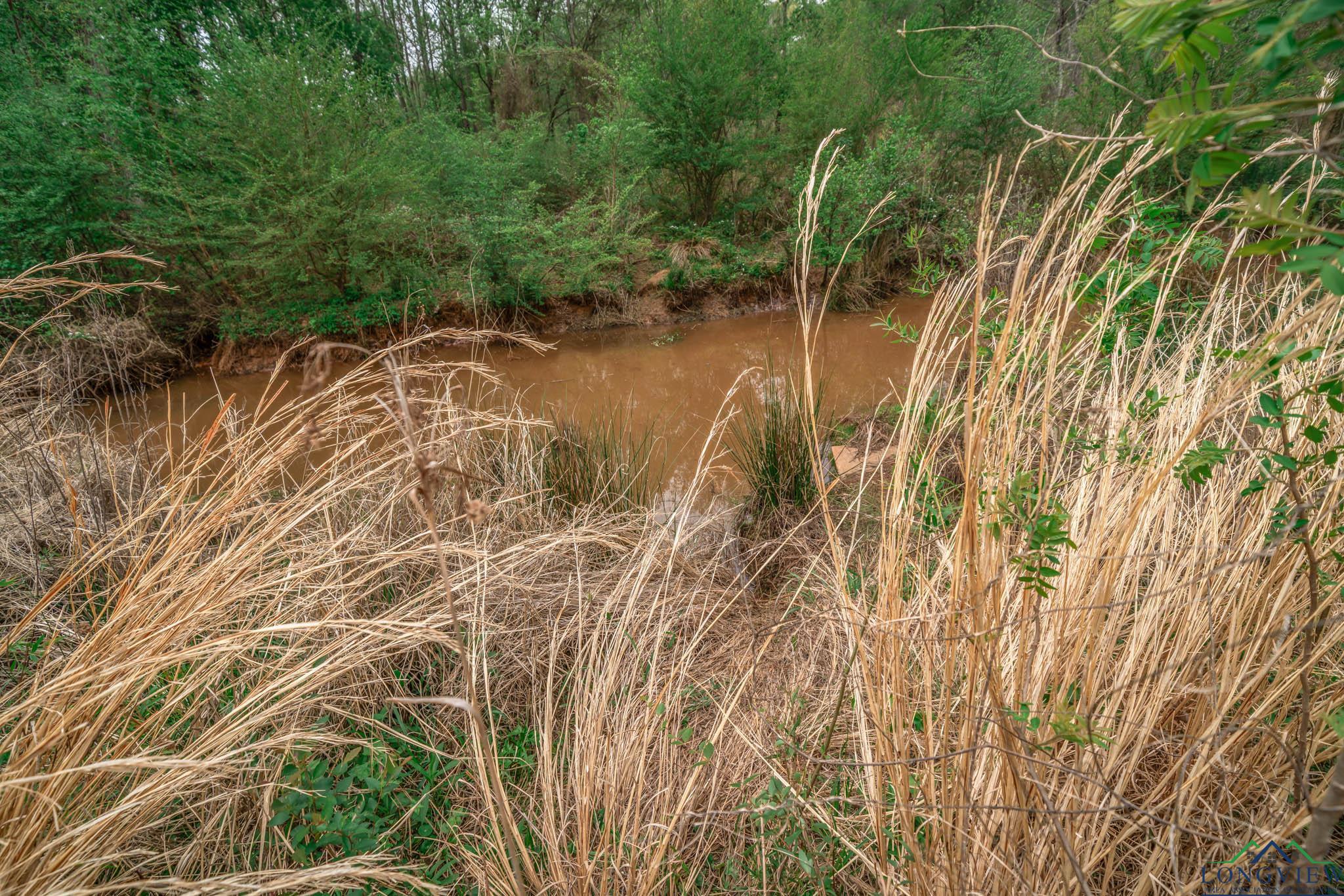 20301 Cr 450, Lindale, Texas image 29