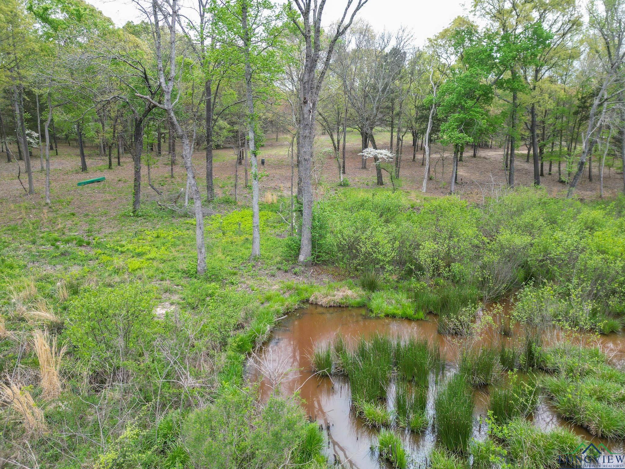 20301 Cr 450, Lindale, Texas image 30