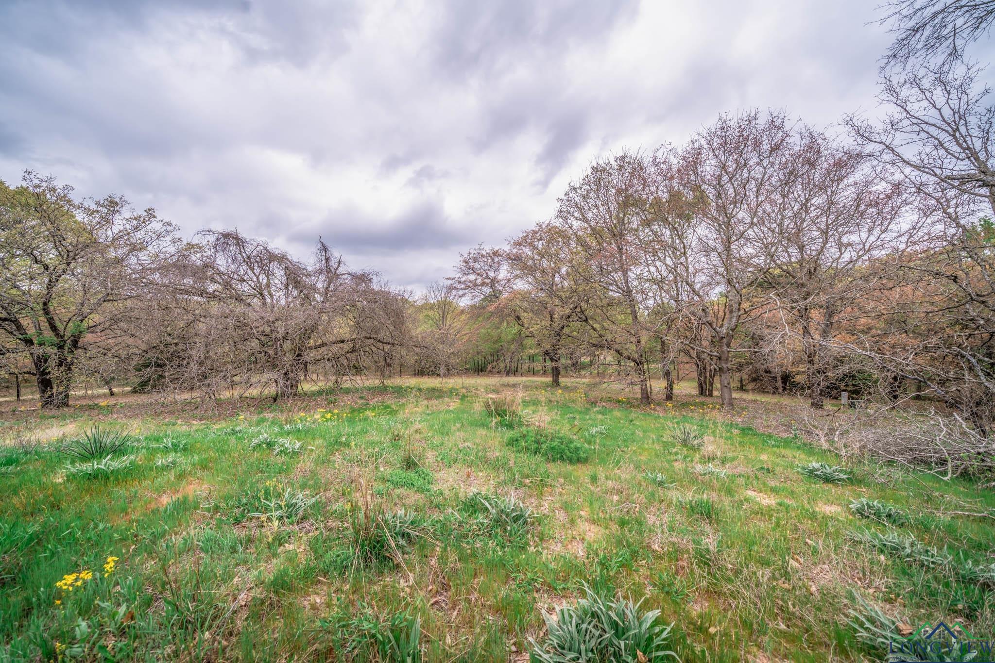 20301 Cr 450, Lindale, Texas image 41