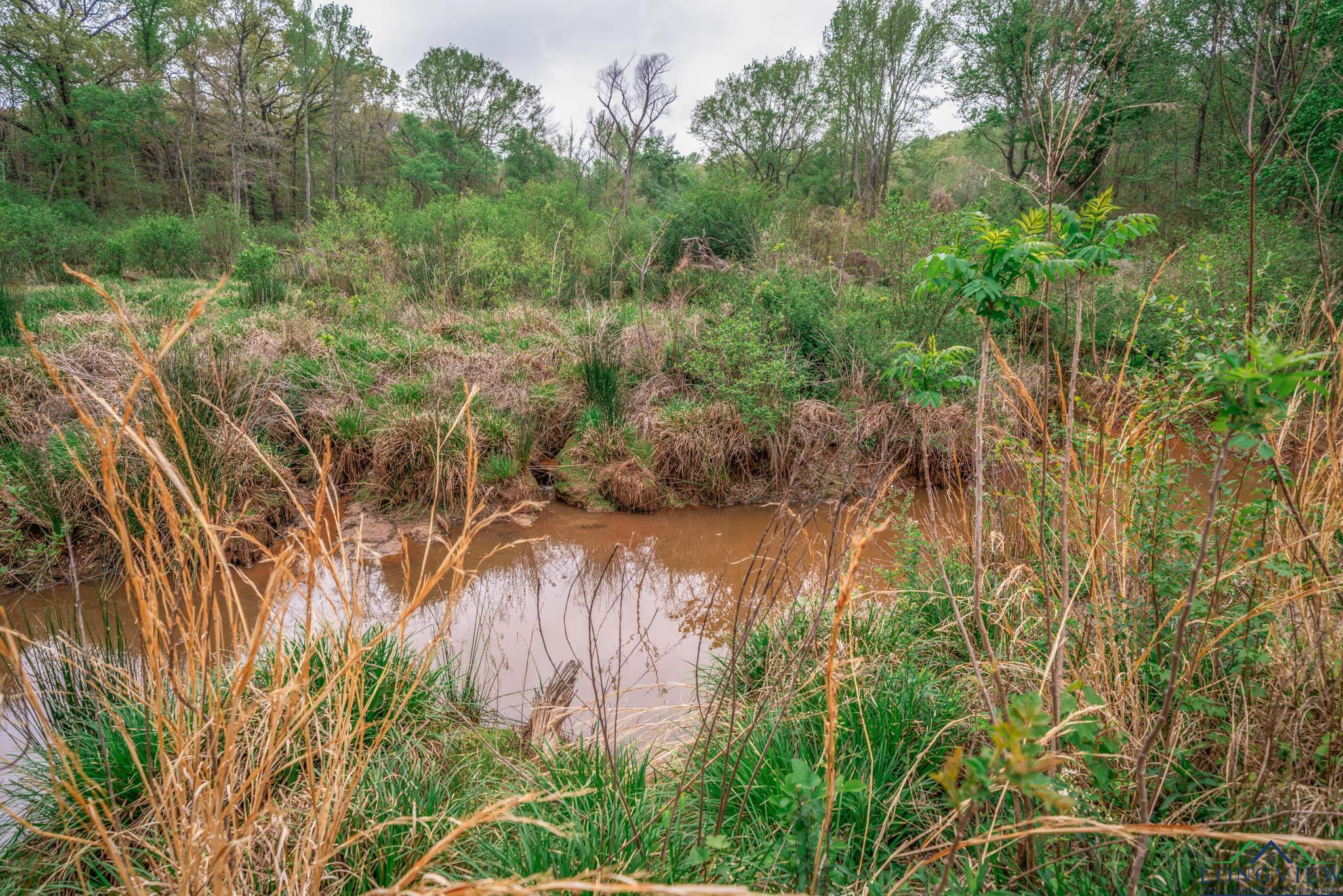 20301 Cr 450, Lindale, Texas image 23