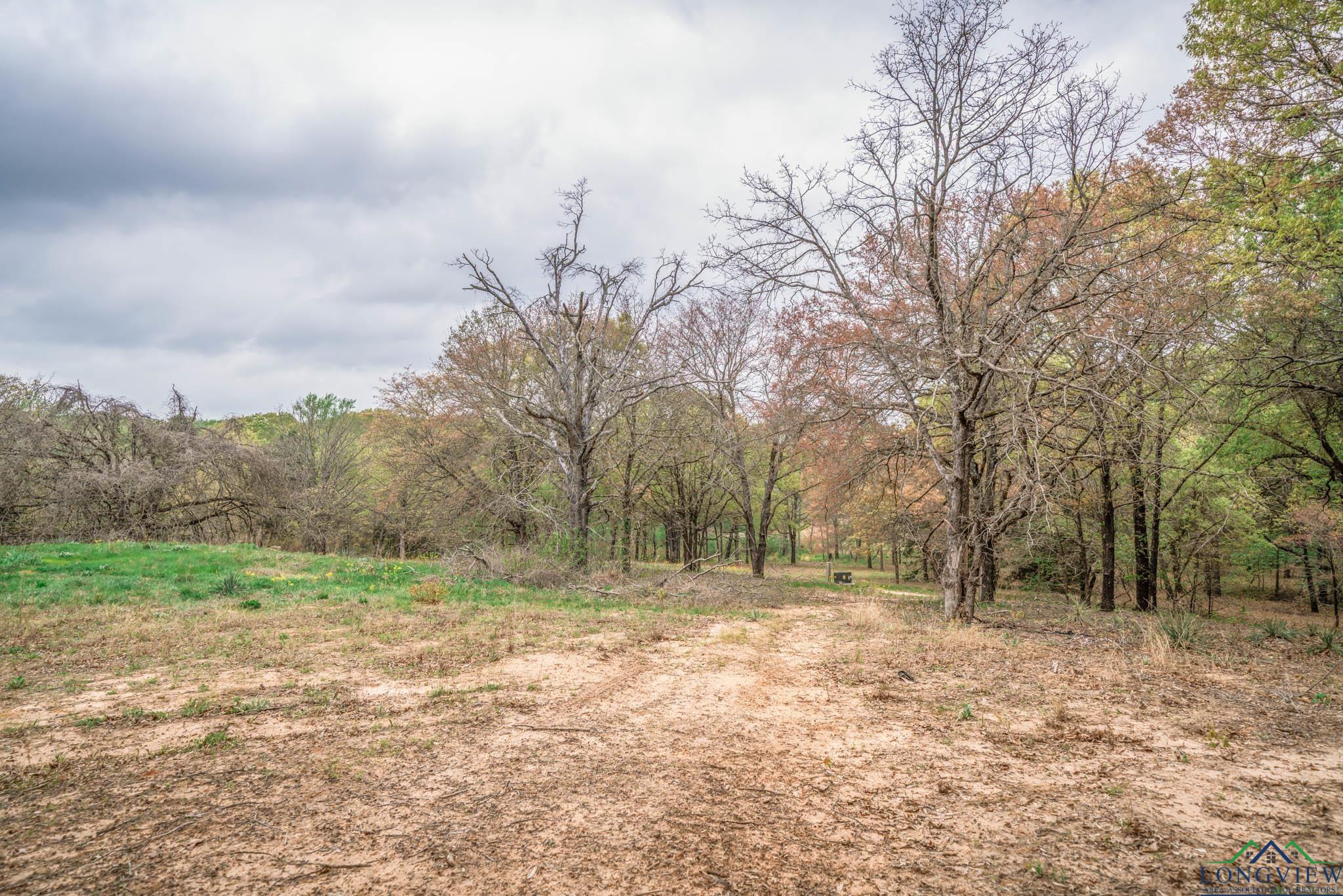 20301 Cr 450, Lindale, Texas image 40
