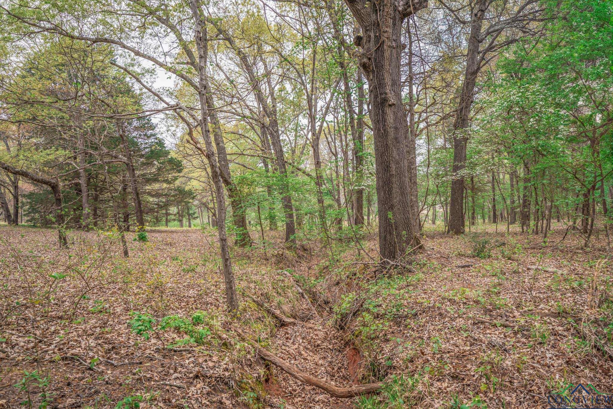 20301 Cr 450, Lindale, Texas image 2