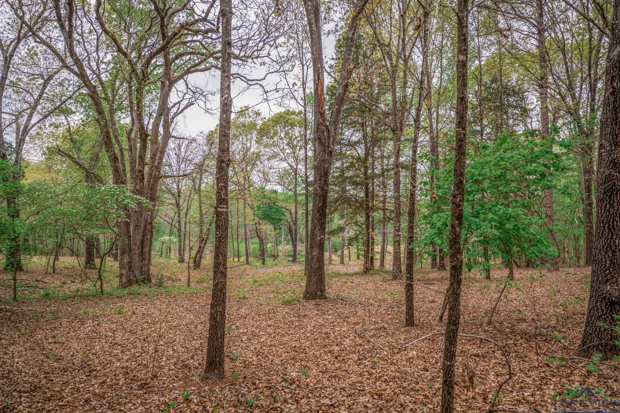 20301 Cr 450, Lindale, Texas image 16