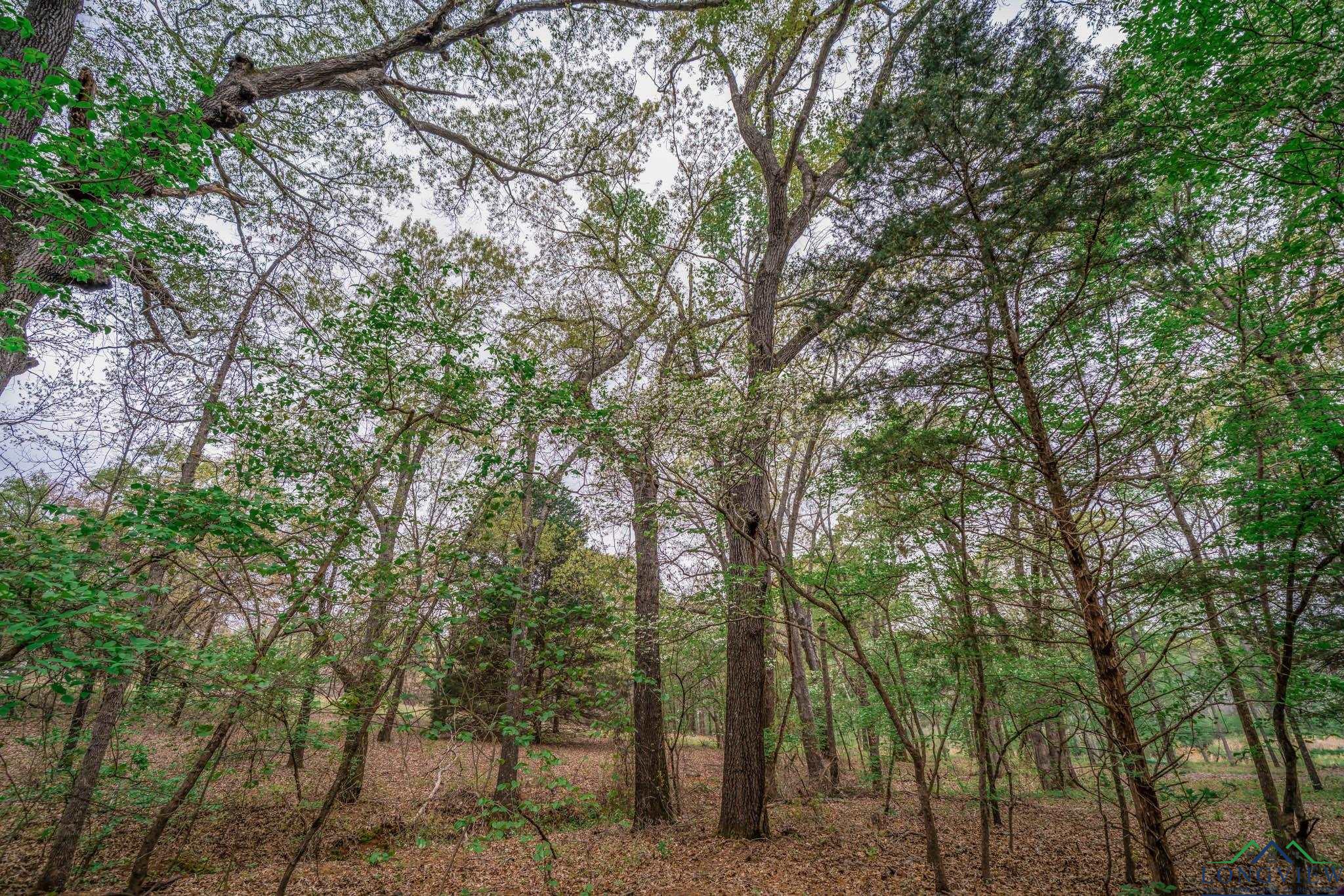 20301 Cr 450, Lindale, Texas image 8