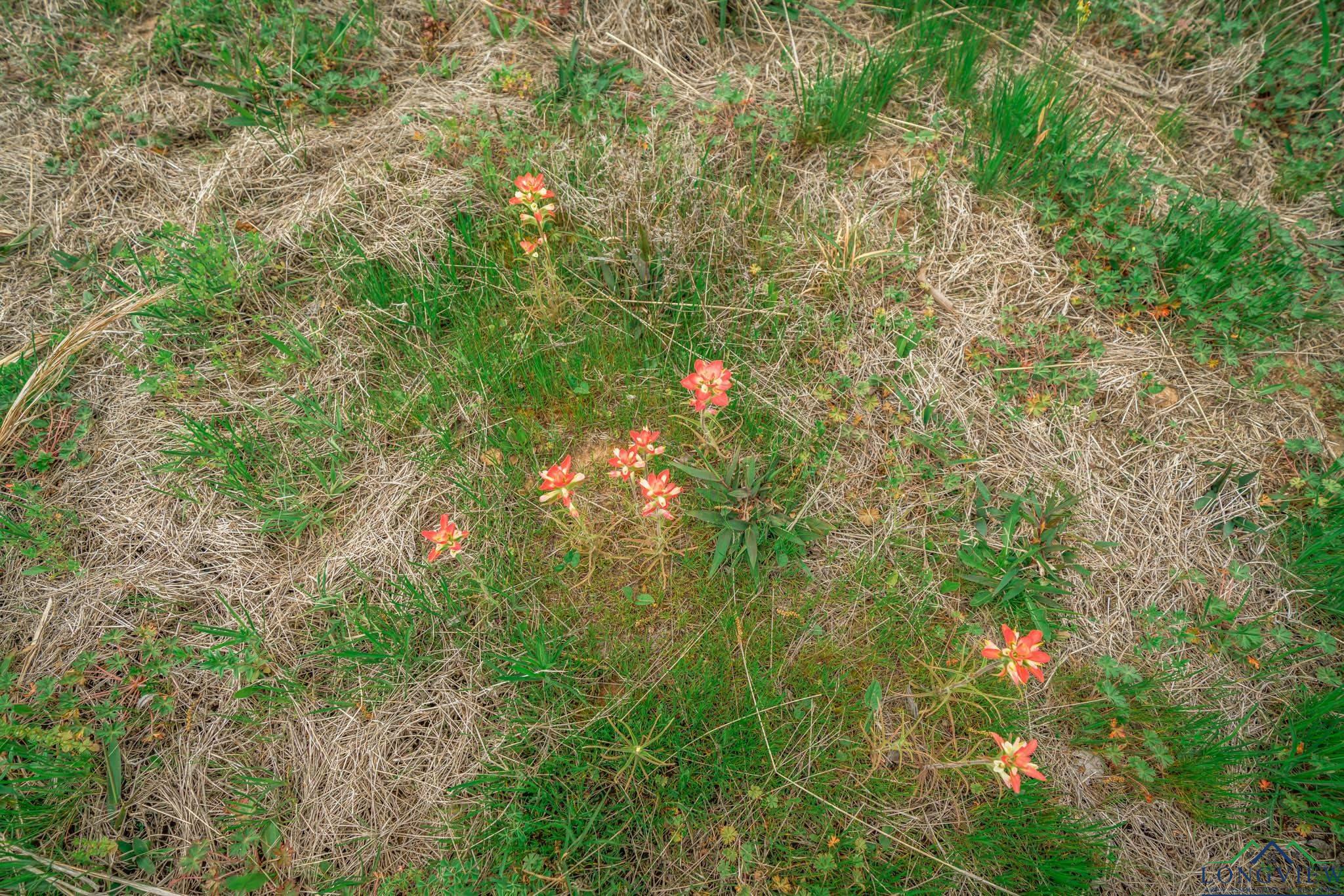 20301 Cr 450, Lindale, Texas image 14