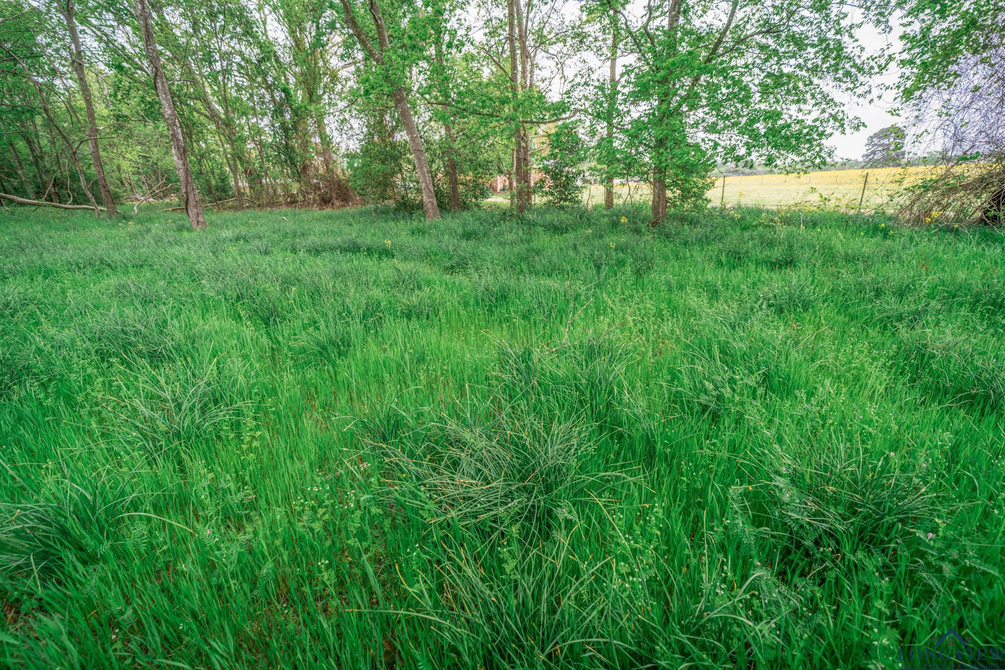 20301 Cr 450, Lindale, Texas image 37