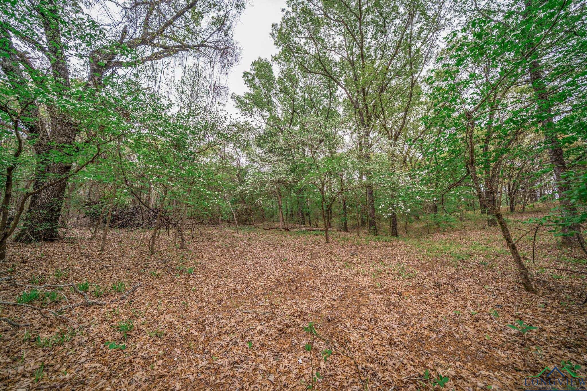 20301 Cr 450, Lindale, Texas image 12