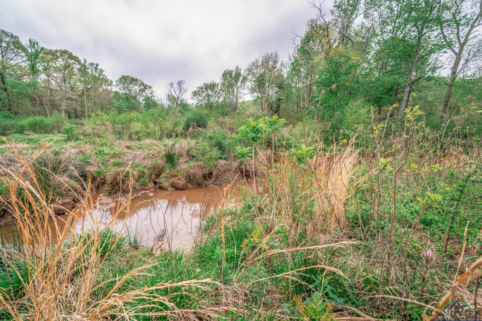 20301 Cr 450, Lindale, Texas image 25