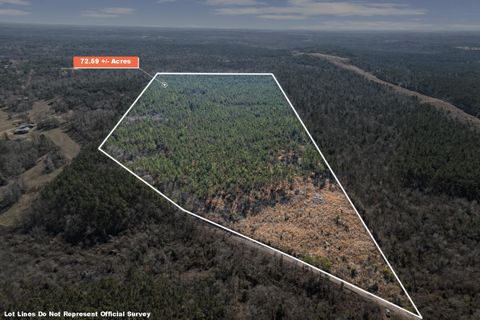 Vacant Land For Sale - Tbd Nasturtium Rd<br/> Ore City, TX 75683