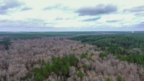 Vacant Land For Sale - 0000 County Road 1619<br/> Linden, TX 75563