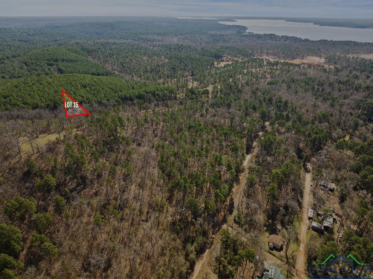 TBD Merle Dr Lot #180, Lone Star, Texas image 1