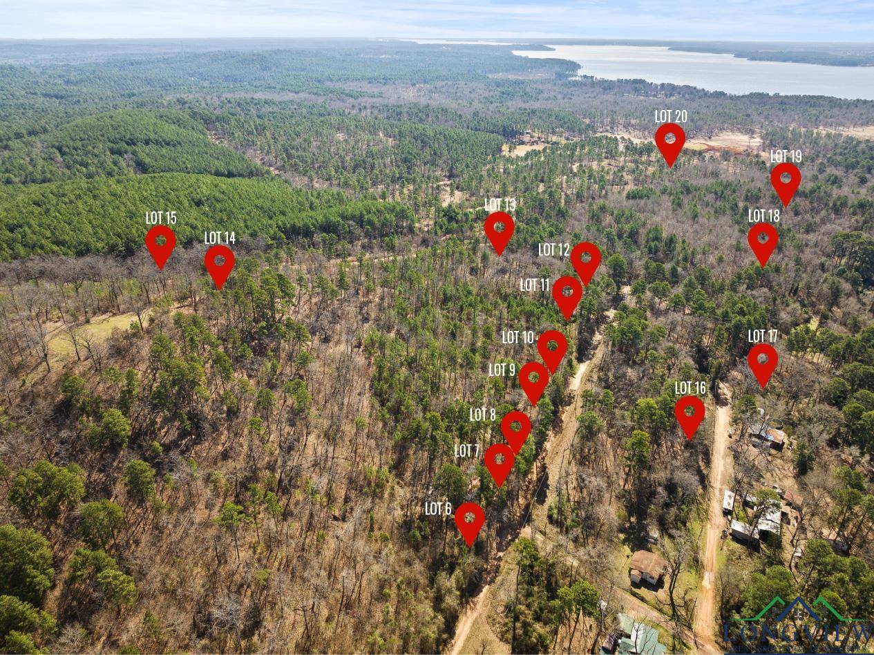 TBD Merle Dr Lot #180, Lone Star, Texas image 4