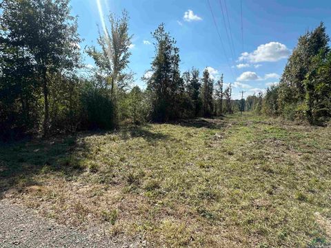 Vacant Land For Sale - TBD Fm 124<br/> Beckville, TX 75631