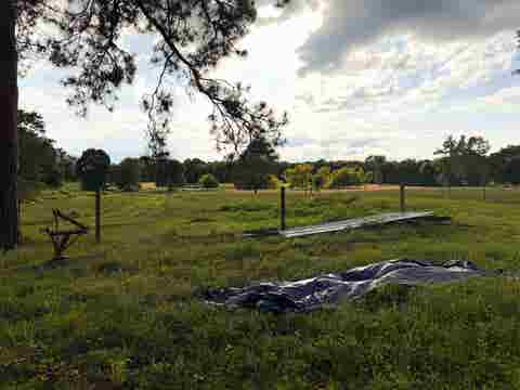 Homes For Sale - 424 Cr 1376<br/> Texarkana, TX 75501
