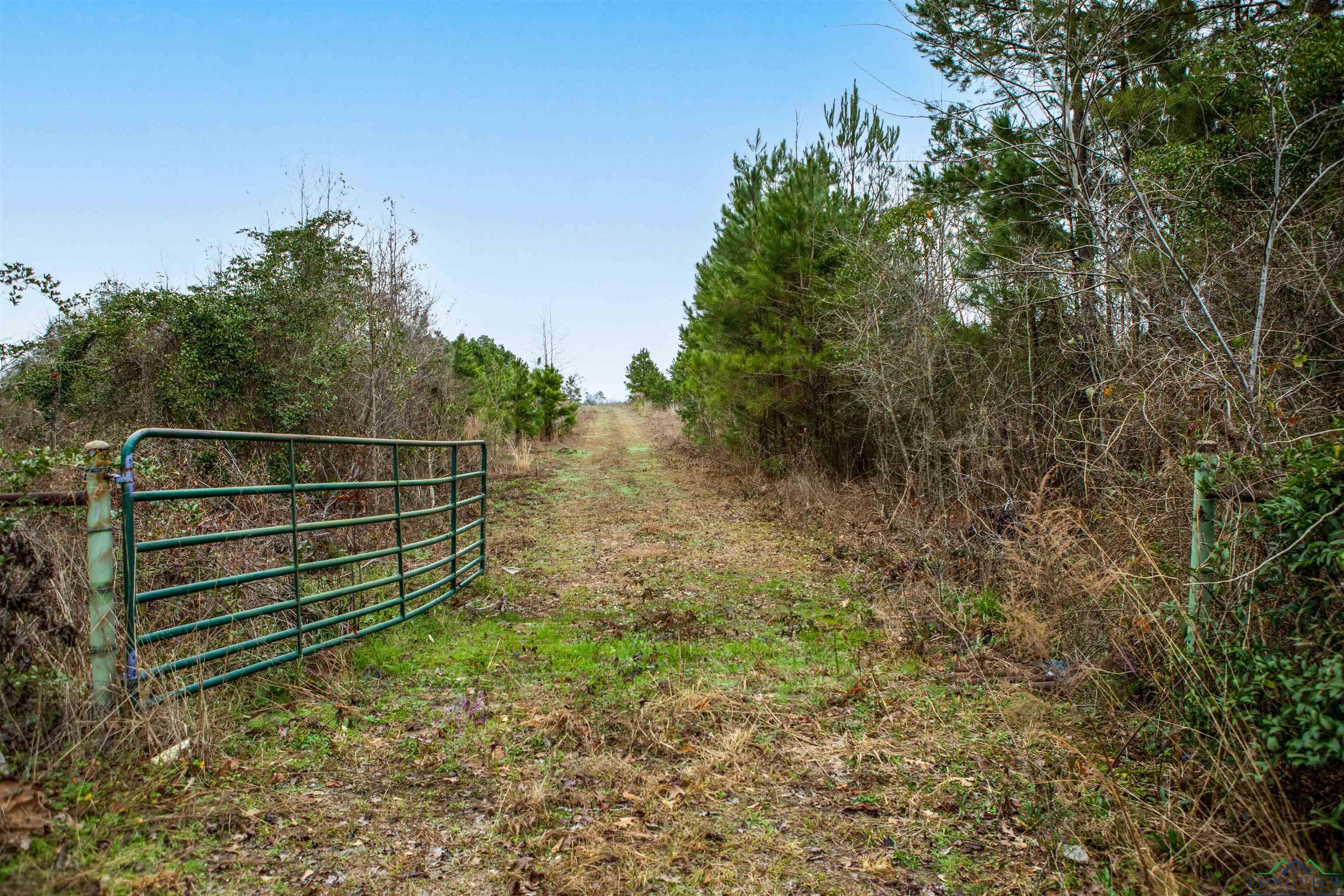 000 County Road 222, Henderson, Texas image 14