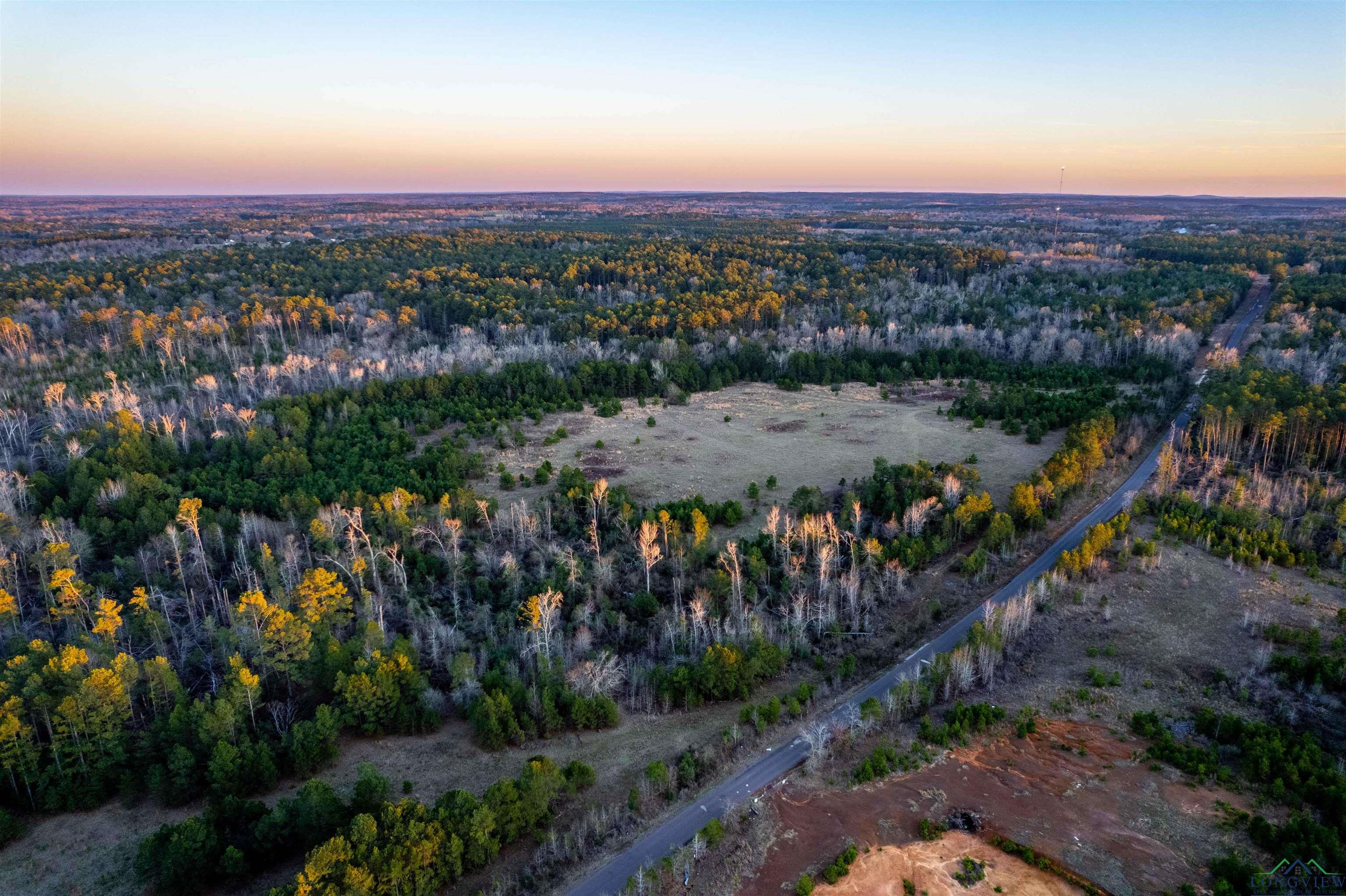 000 County Road 222, Henderson, Texas image 24