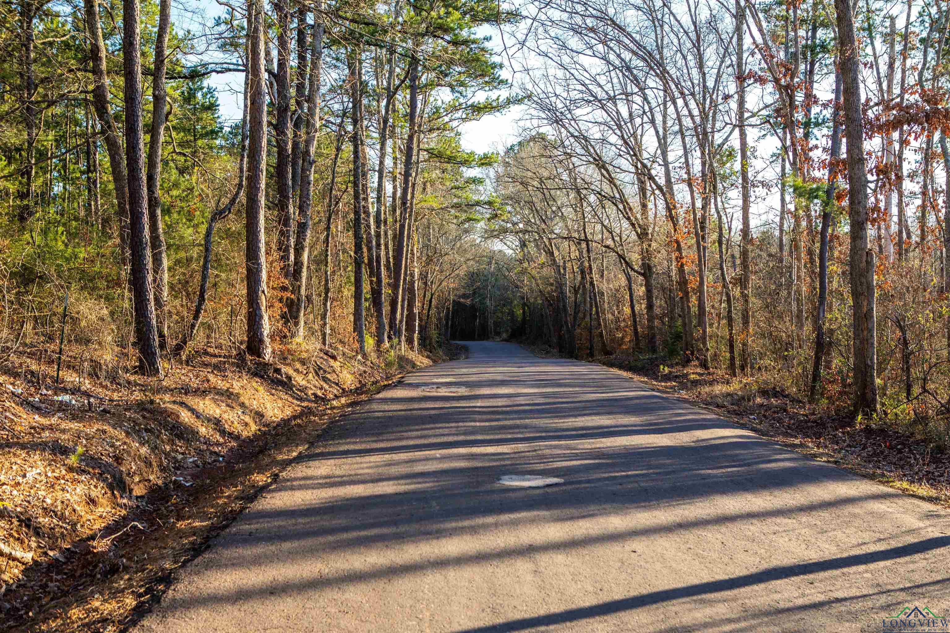 000 County Road 222, Henderson, Texas image 1