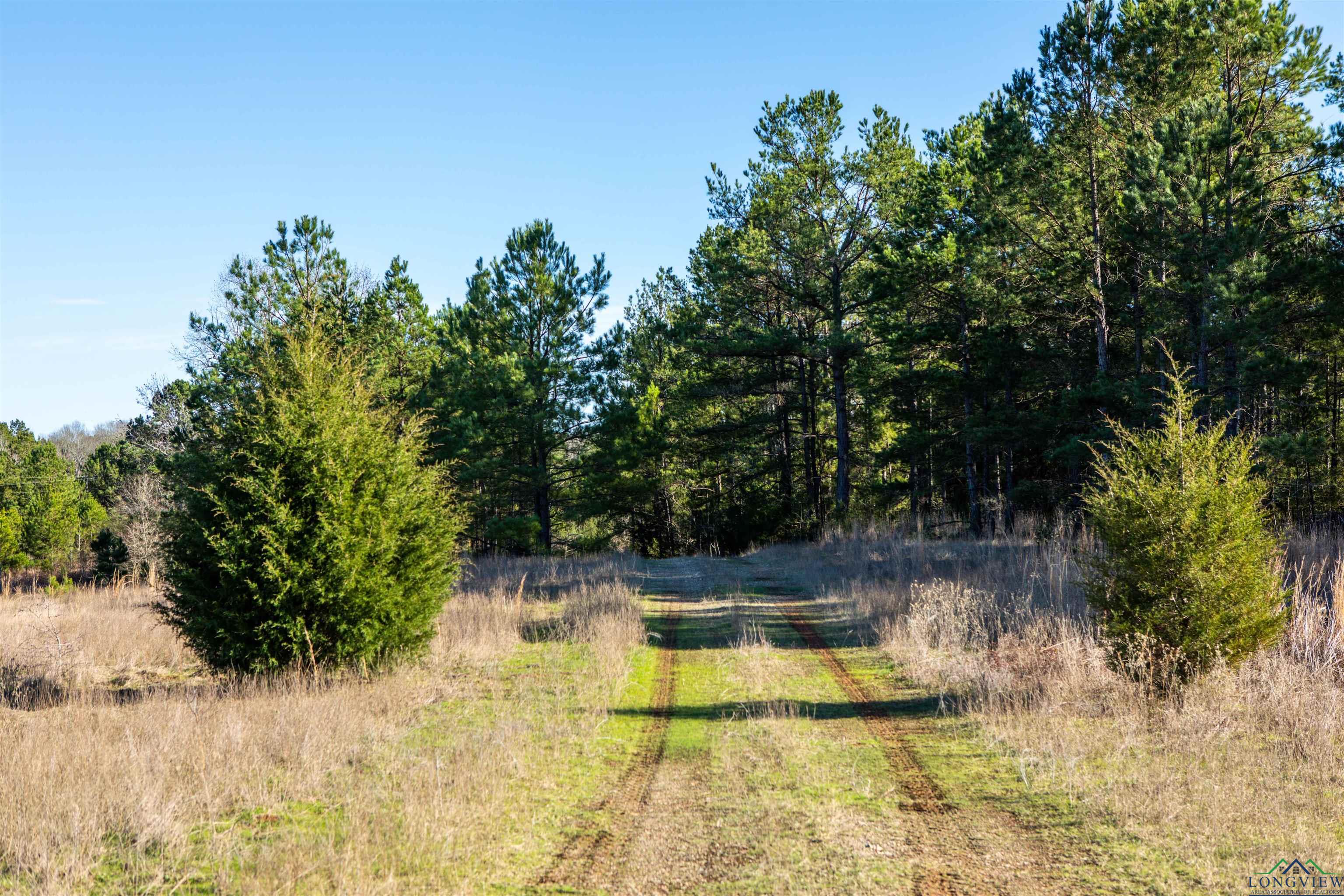 000 County Road 222, Henderson, Texas image 4